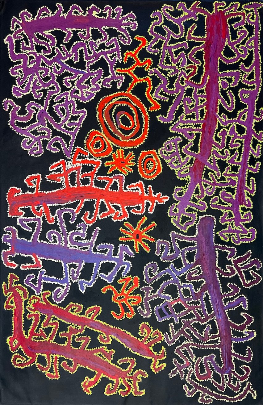 Ngalta - Desert Kurrajong