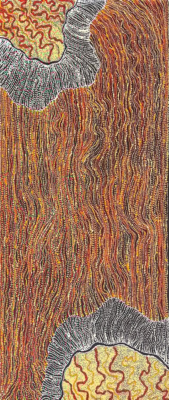 Ngapa Jukurrpa - Water Dreaming