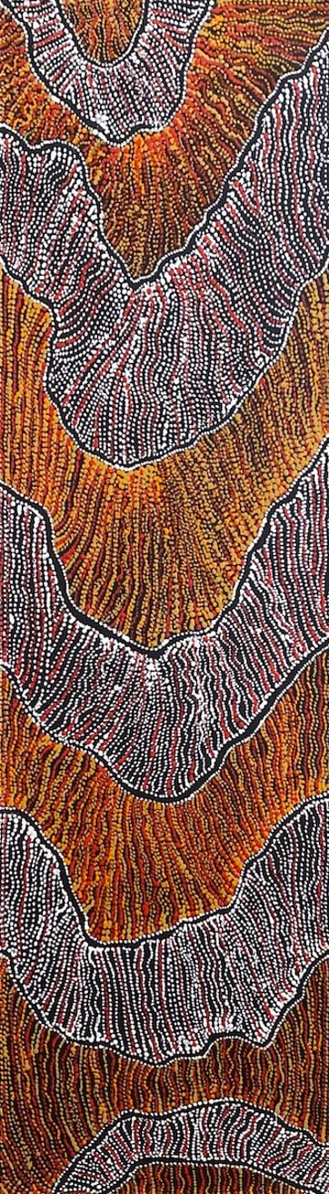 Ngapa Jukurrpa