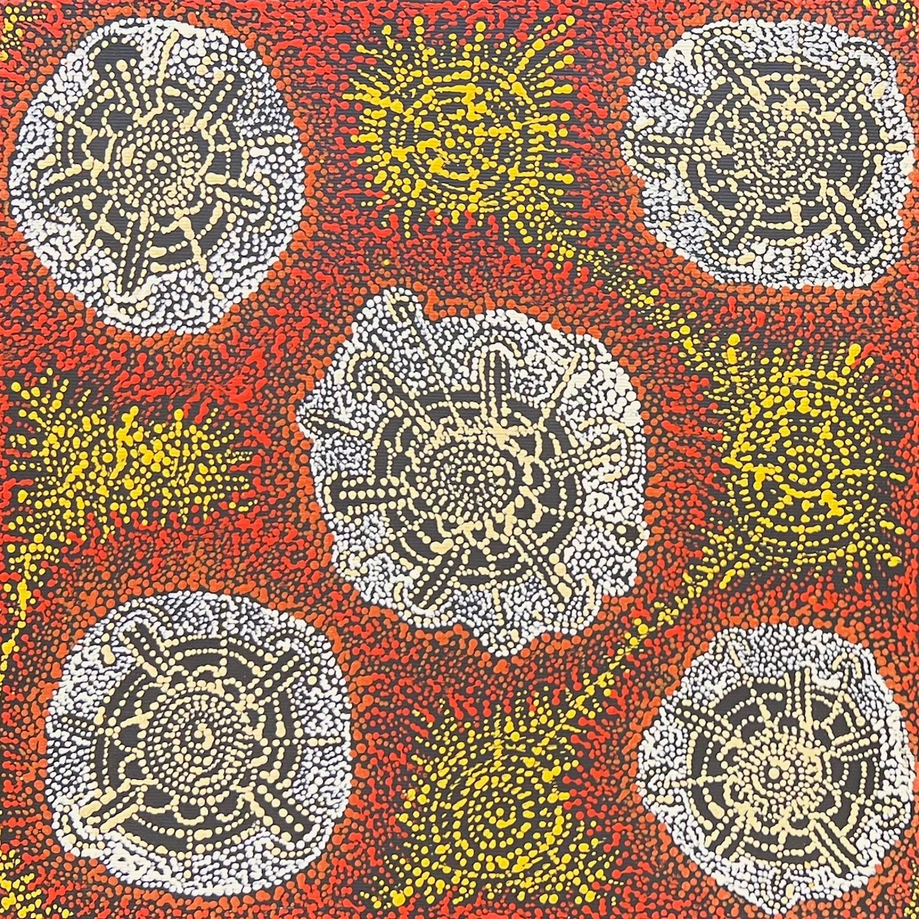 Ngapa Jukurrpa
