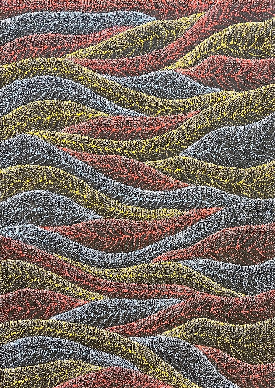Latest artwork by Debbie Napaljarri Brown