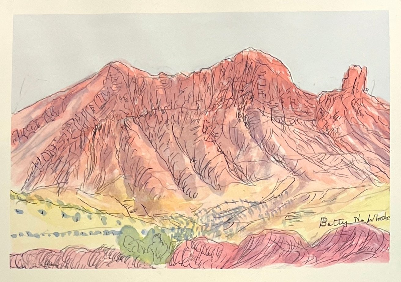 Latest artwork by Betty Namatjira Wheeler (1949)