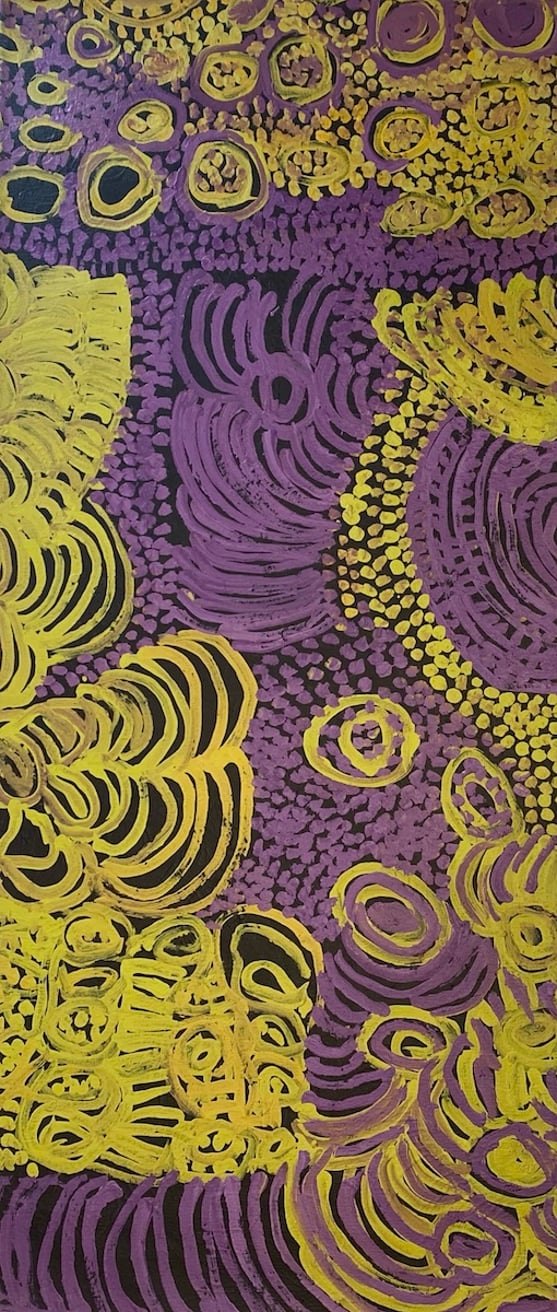 Latest artwork by Eileen Yaritja Stevens (c.1919-2008)