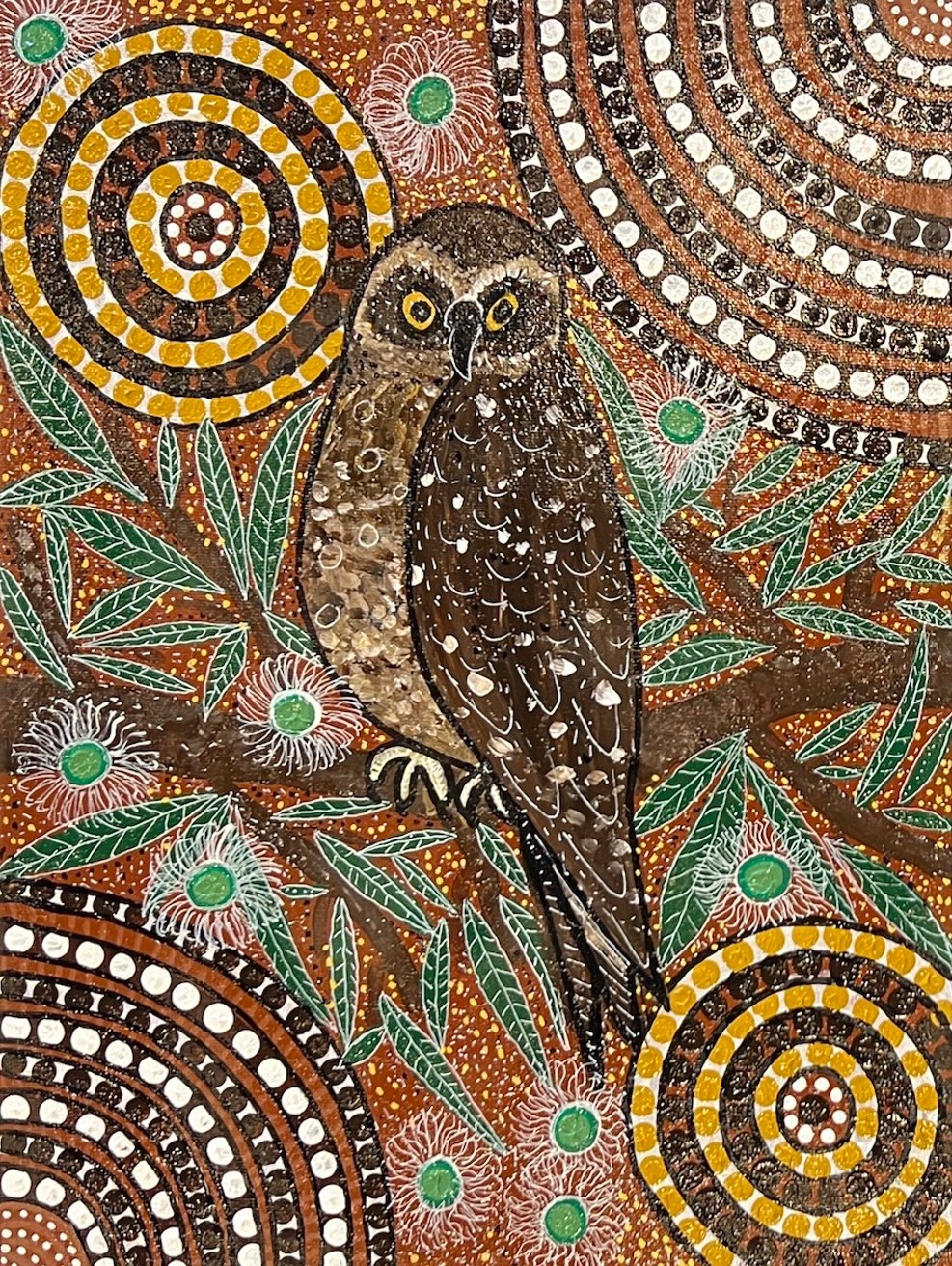 Boobook Owl