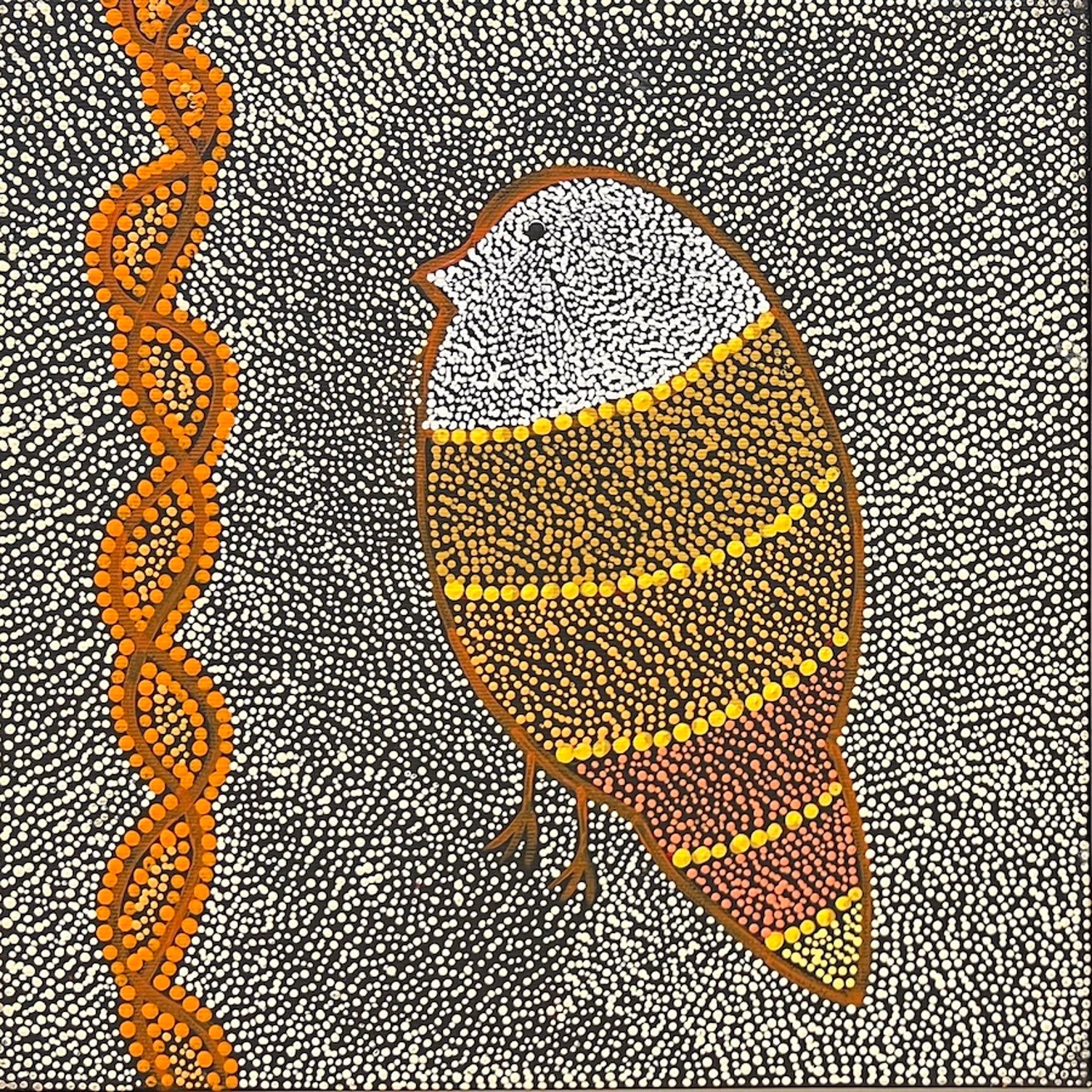 Ngalyipi Jukurrpa