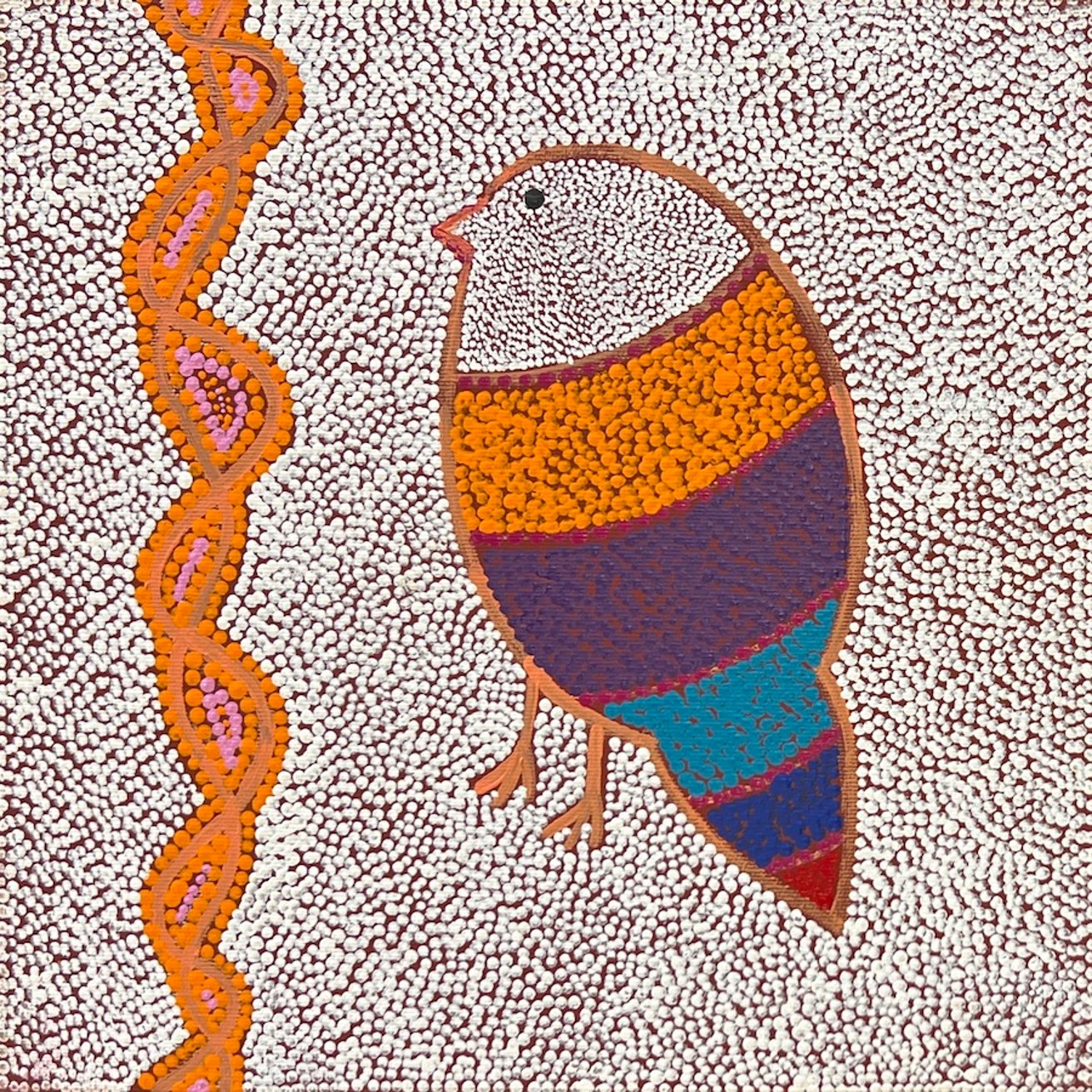 Ngalyipi Jukurrpa
