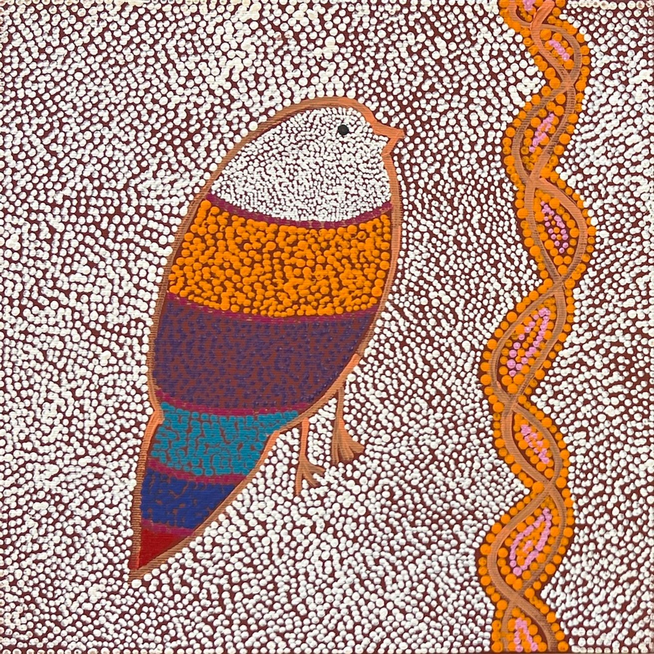 Ngalyipi Jukurrpa