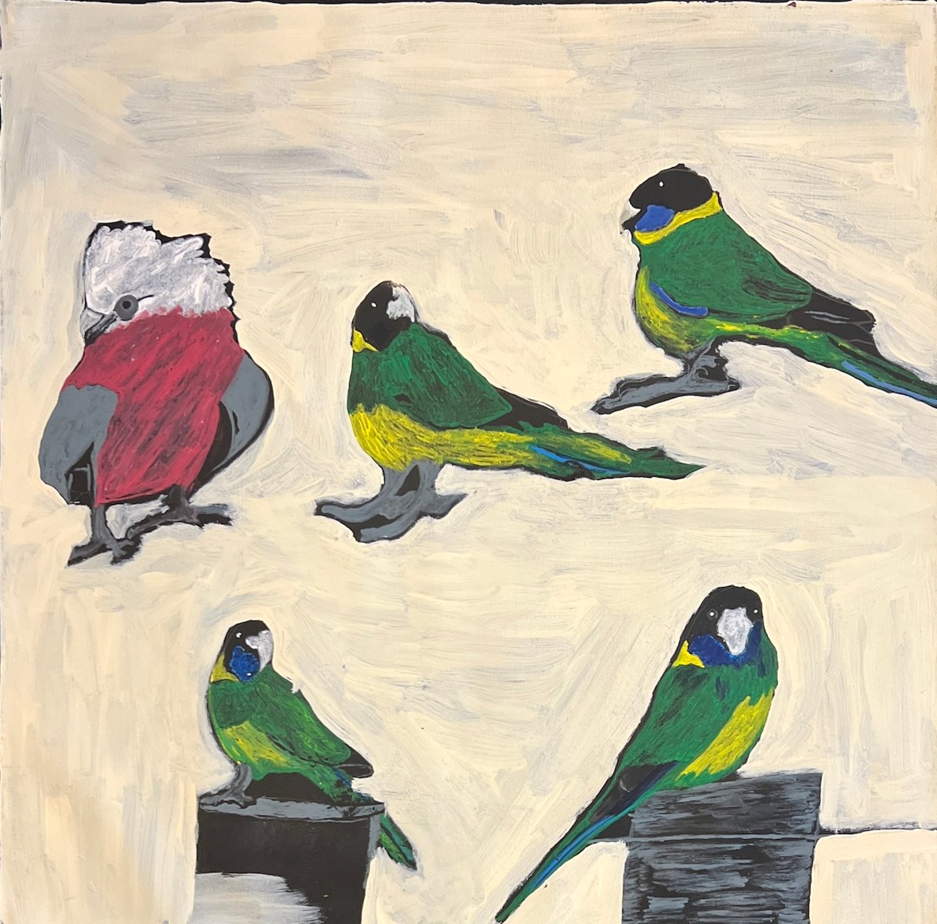 Jeffrey's Birds