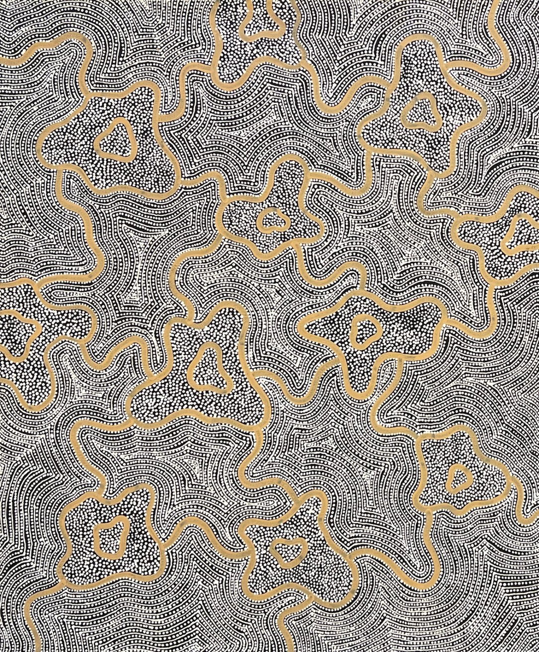 Ngapa Jukurrpa - Water Dreaming