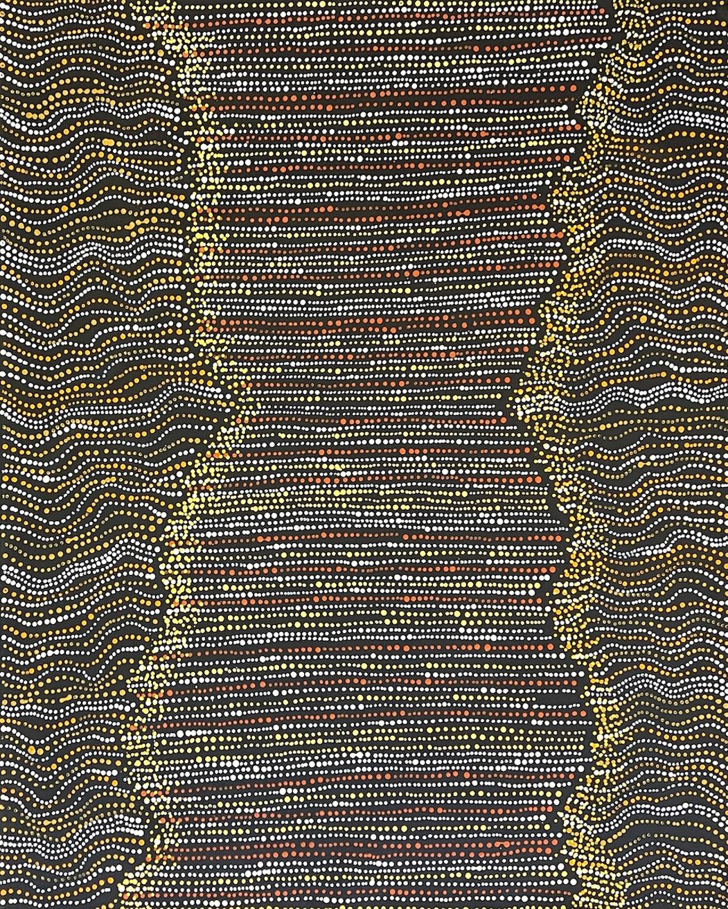 Ngapa Jukurrpa - Water Dreaming