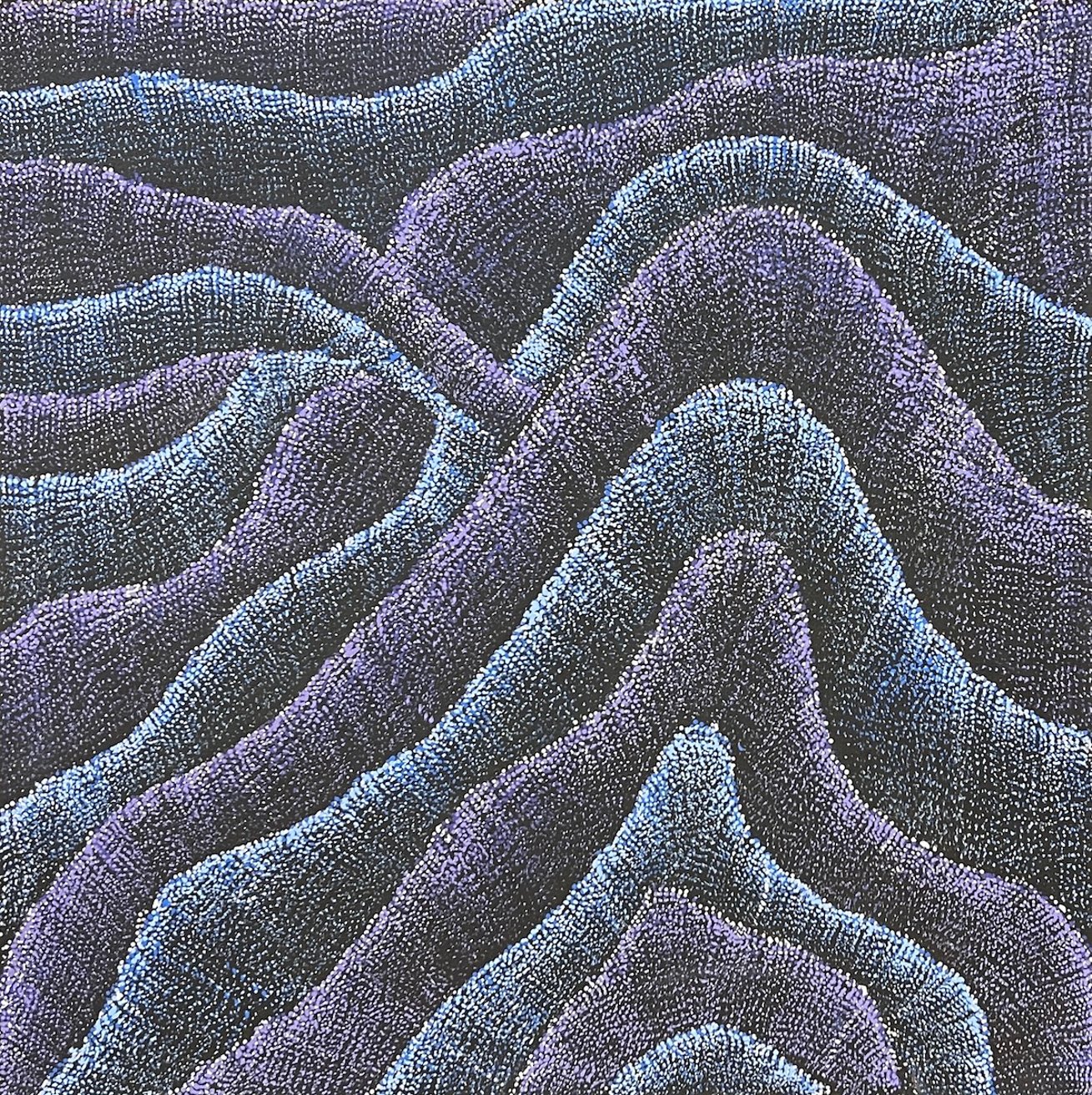 Wanakiji Jukurrpa - Bush Tomato Dreaming