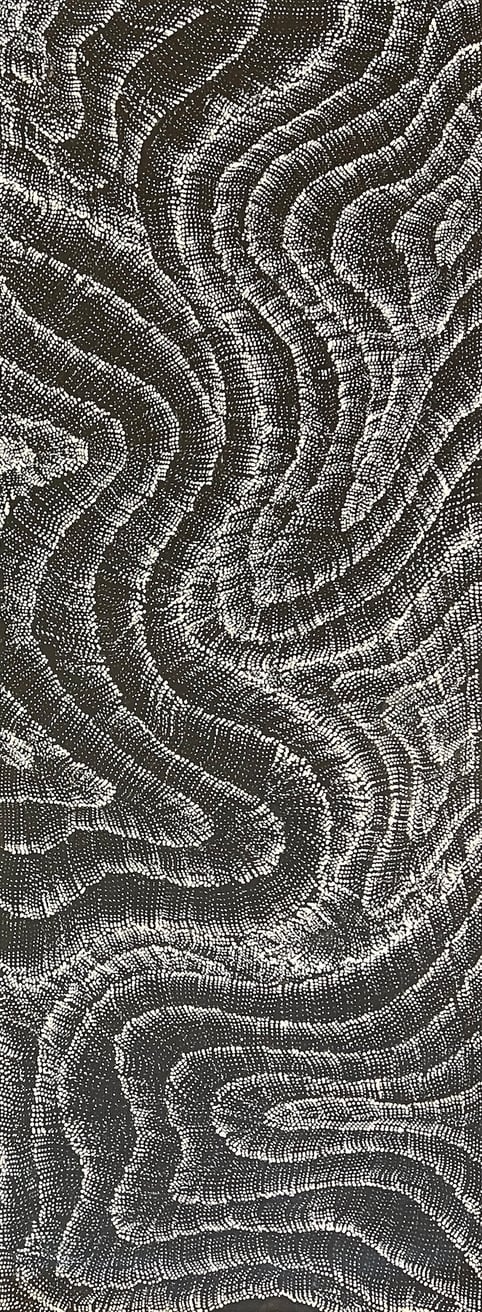 Wanakiji Jukurrpa - Bush Tomato Dreaming