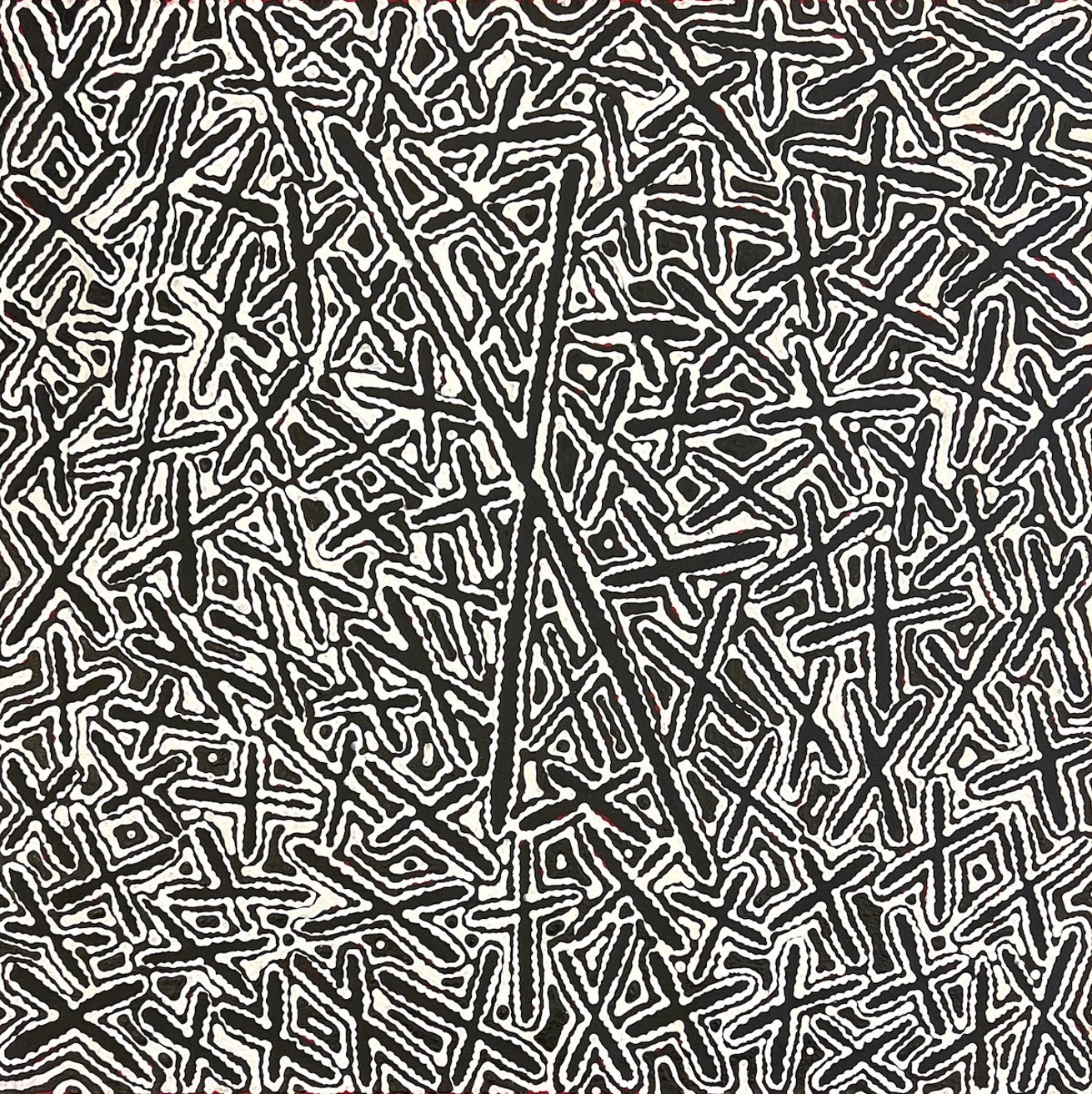 Ngatijirri Jukurrpa - Budgerigar Dreaming