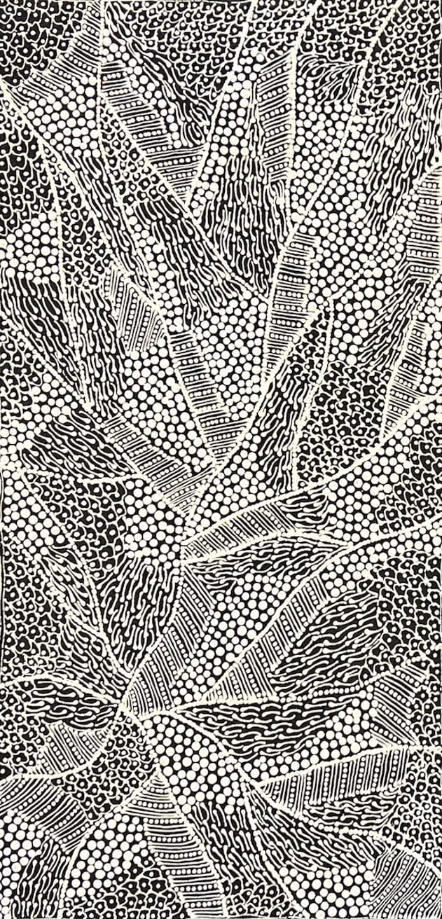 Latest artwork by Mary Napangardi Butcher