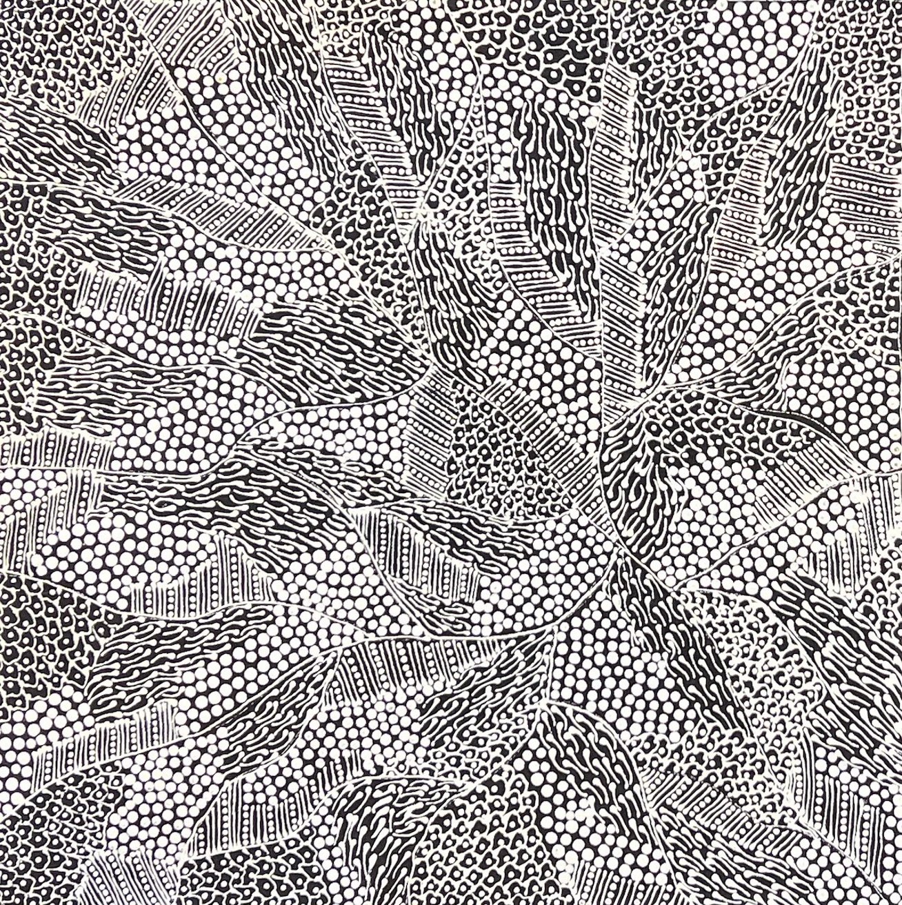 Pikilyi Jukurrpa - Vaughan Springs Dreaming