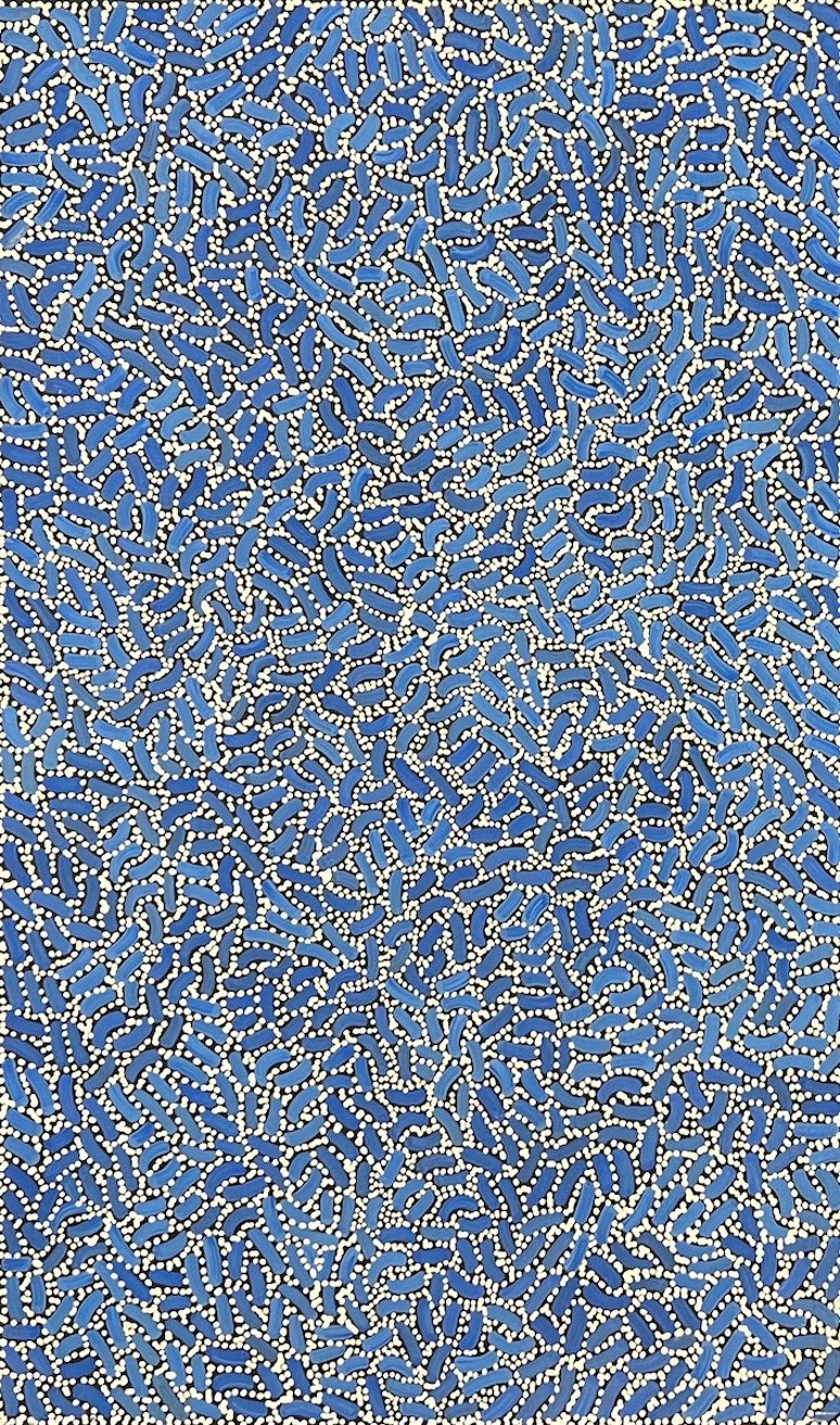 Warlukurlangu Jukurrpa - Fire country Dreaming