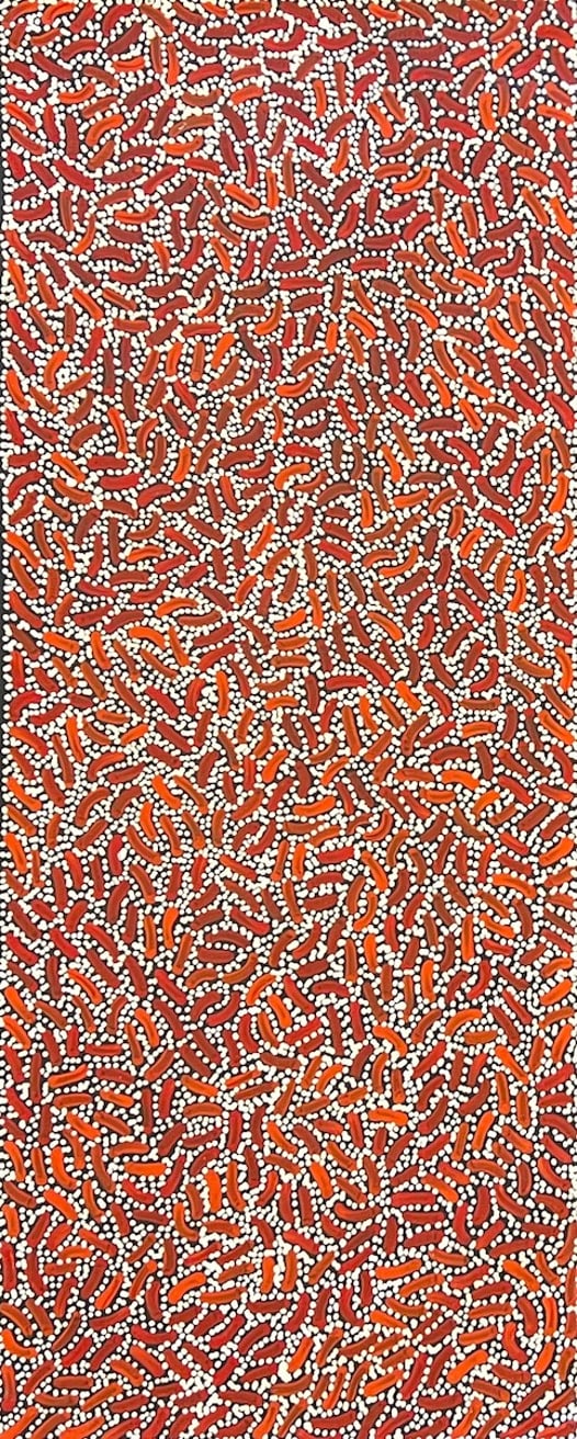 Warlukurlangu Jukurrpa - Fire country Dreaming