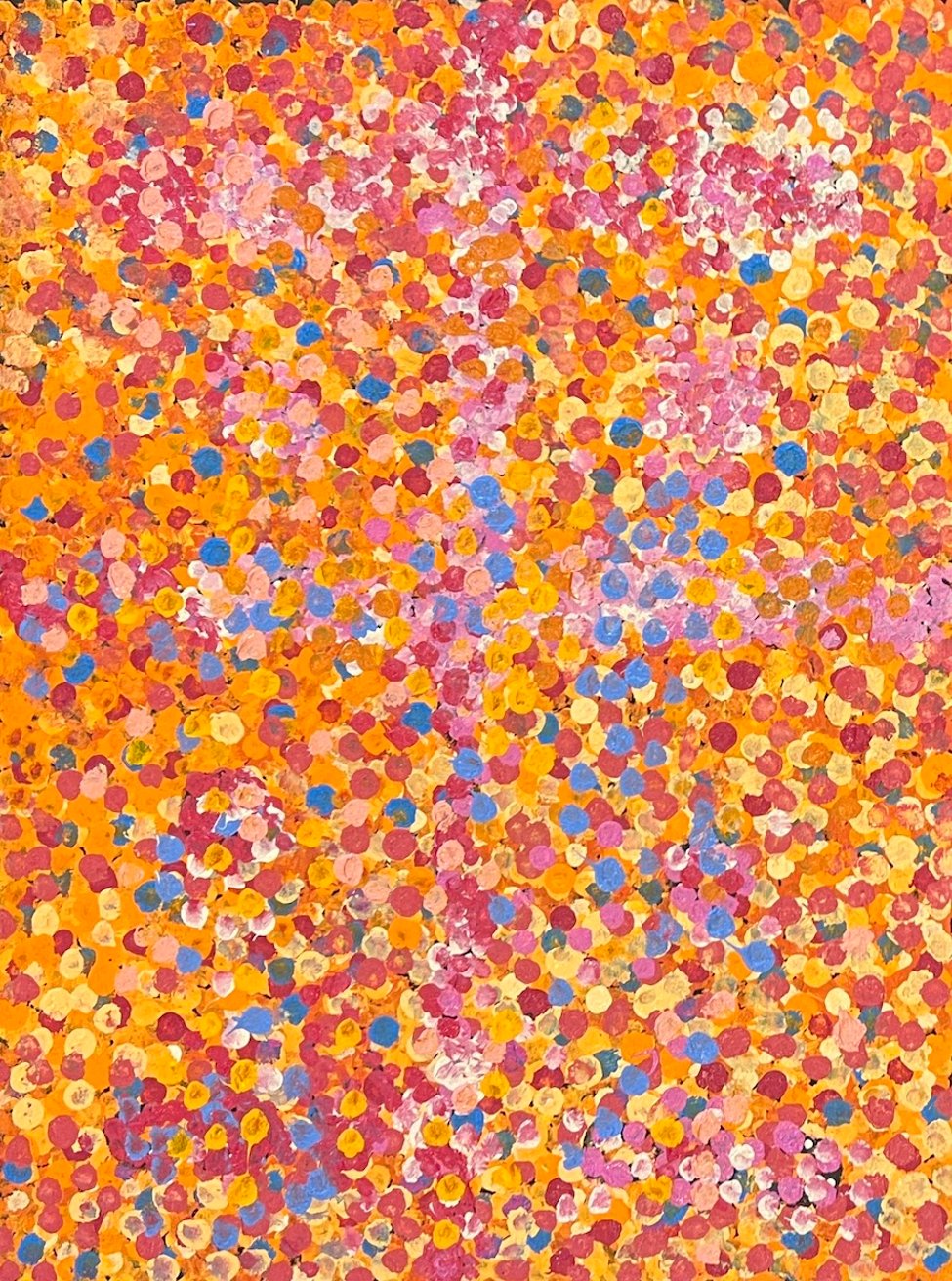 Wardapi Jukurrpa - Goanna Dreaming