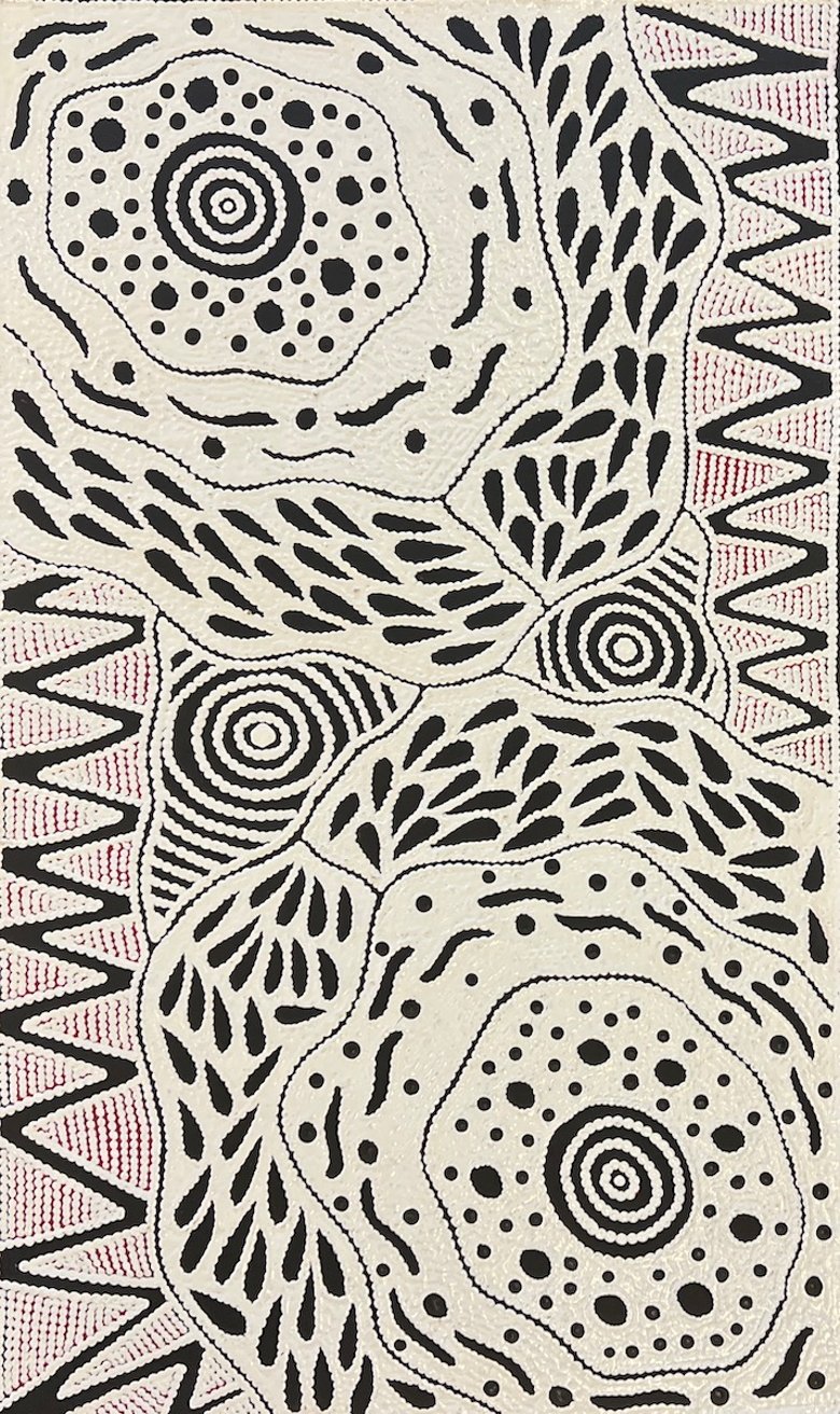 Pikilyi Jukurrpa - Vaughan Springs Dreaming