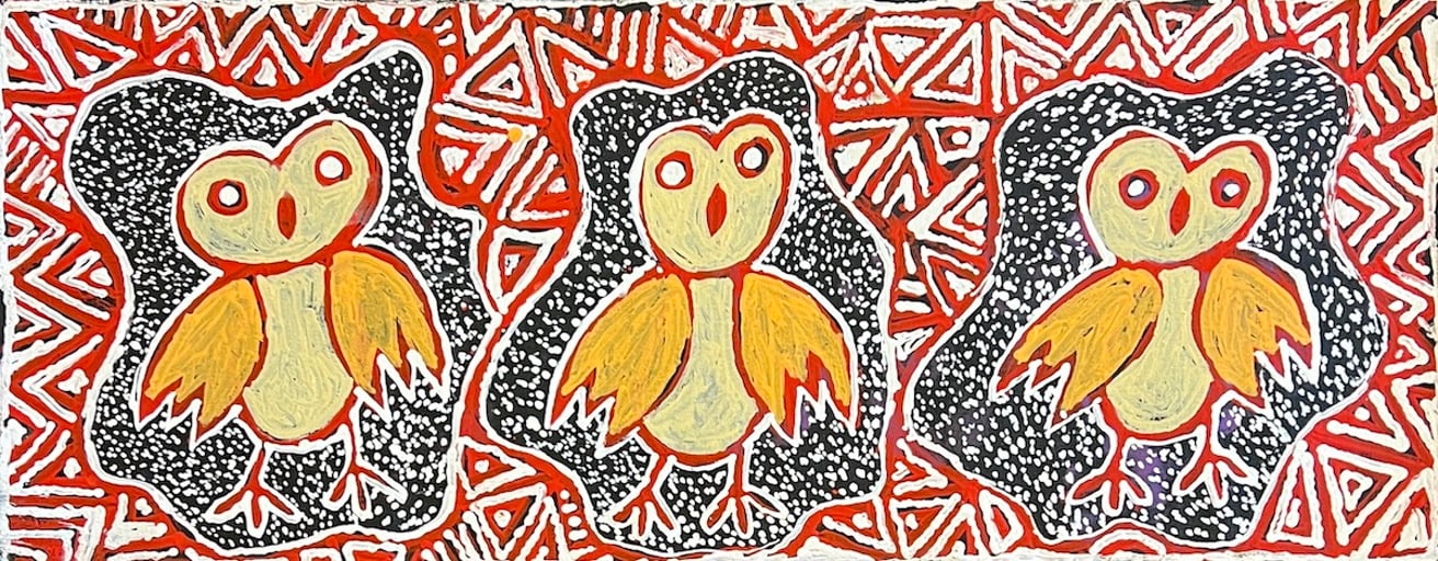 Owlet Nightjar Dreaming